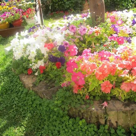 호텔 메리트 레프코사 호텔&카지노 5*