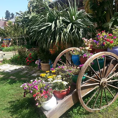 메리트 레프코사 호텔&카지노 5* 니코시아