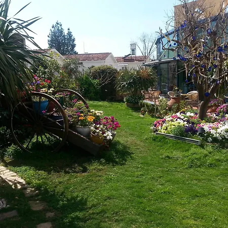 호텔 메리트 레프코사 호텔&카지노 5*