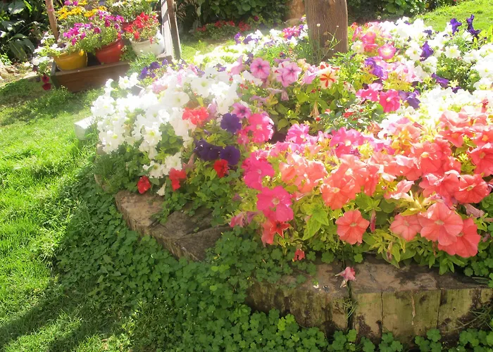 酒店 梅里特乐夫科萨酒店 5*