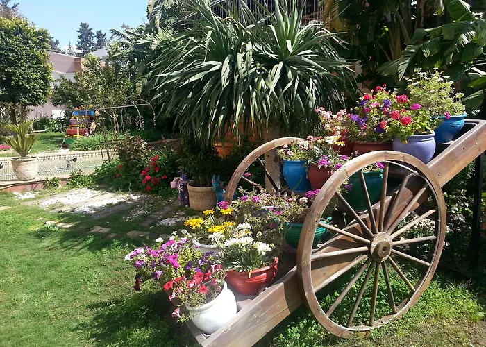 Merit & Casino 5* Nicosia