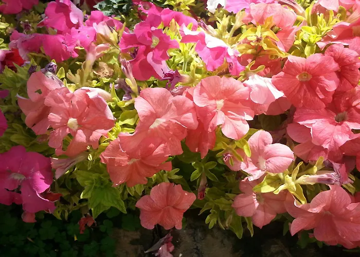 Ξενοδοχείο Merit & Casino 5*